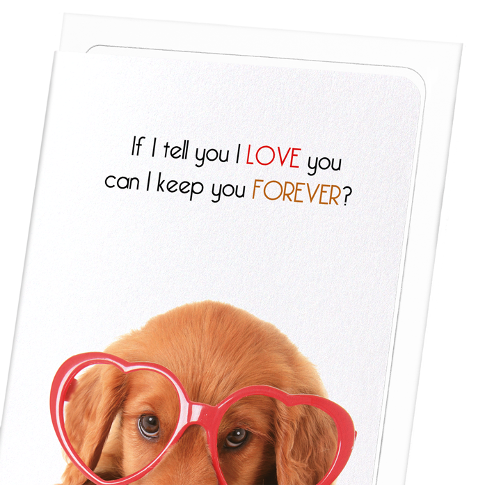 KEEP YOU FOREVER: Funny Animal Greeting Card