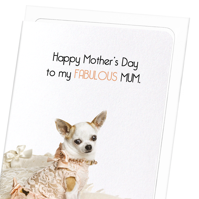 FABULOUS MUM: Funny Animal Greeting Card