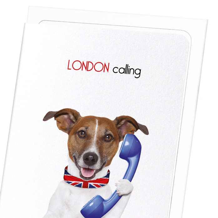 LONDON CALLING: Funny Animal Greeting Card
