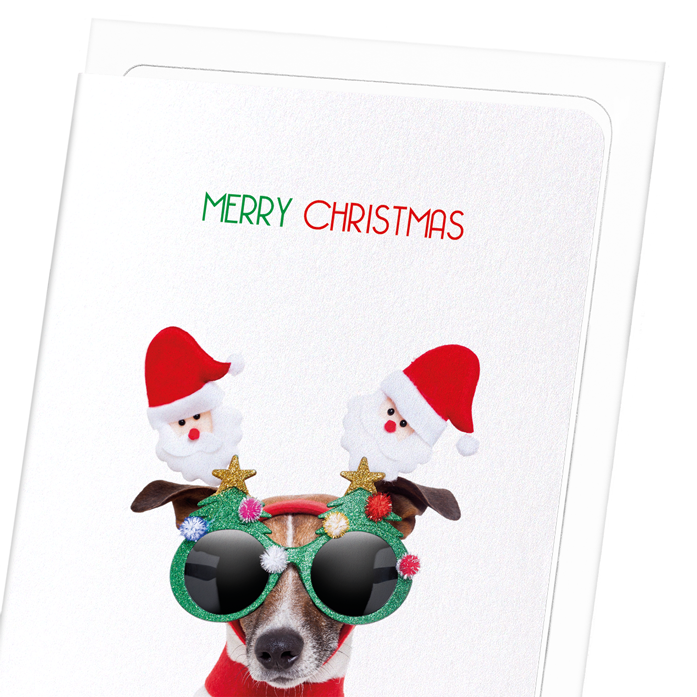 MERRY CHRISTMAS FESTIVE DOG: Funny Animal Greeting Card