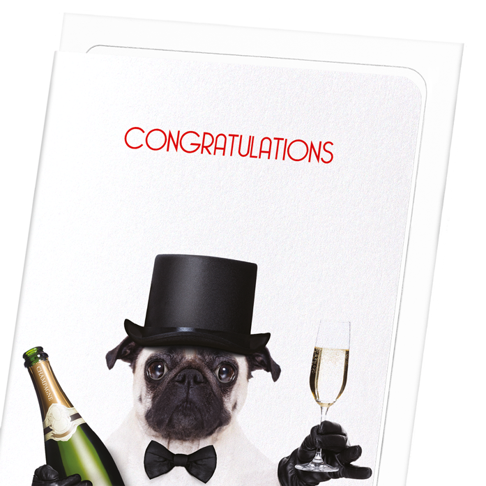 CONGRATULATIONS FROM MR PUG: Funny Animal Greeting Card