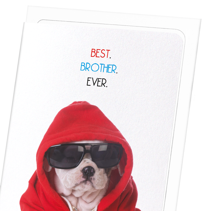 BEST BROTHER EVER: Funny Animal Greeting Card