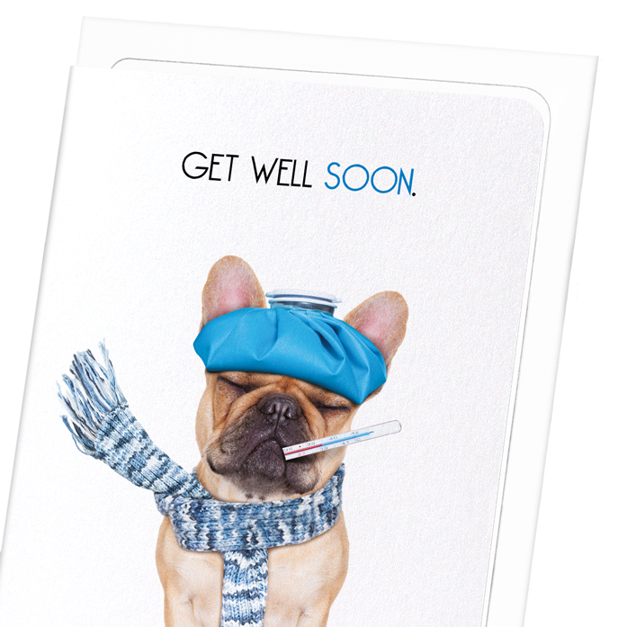 GET WELL SOON FRENCHIE : Funny Animal Greeting Card
