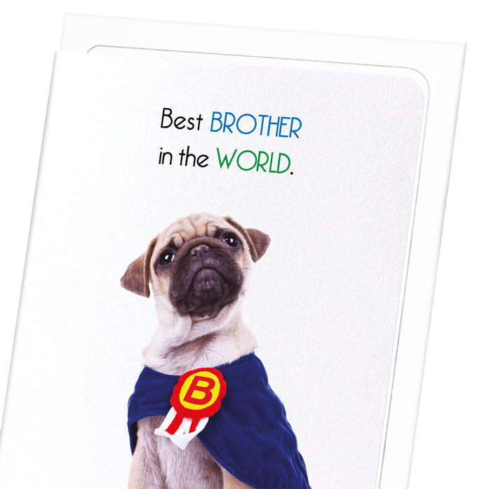 BEST BROTHER IN THE WORLD: Funny Animal Greeting Card