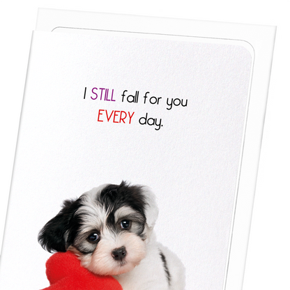 FALL FOR YOU EVERY DAY: Funny Animal Greeting Card