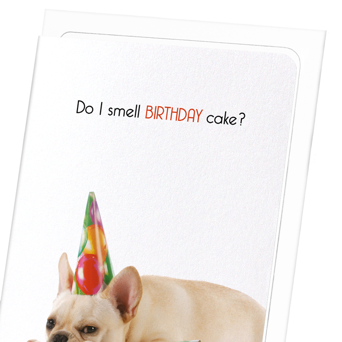 DO I SMELL BIRTHDAY CAKE?: Funny Animal Greeting Card