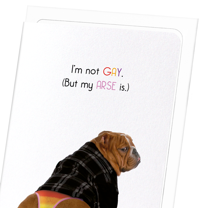 I'M NOT GAY: Funny Animal Greeting Card