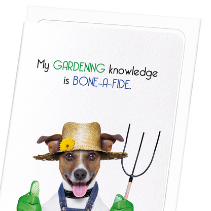 BONE-A-FIDE KNOWLEDGE: Funny Animal Greeting Card