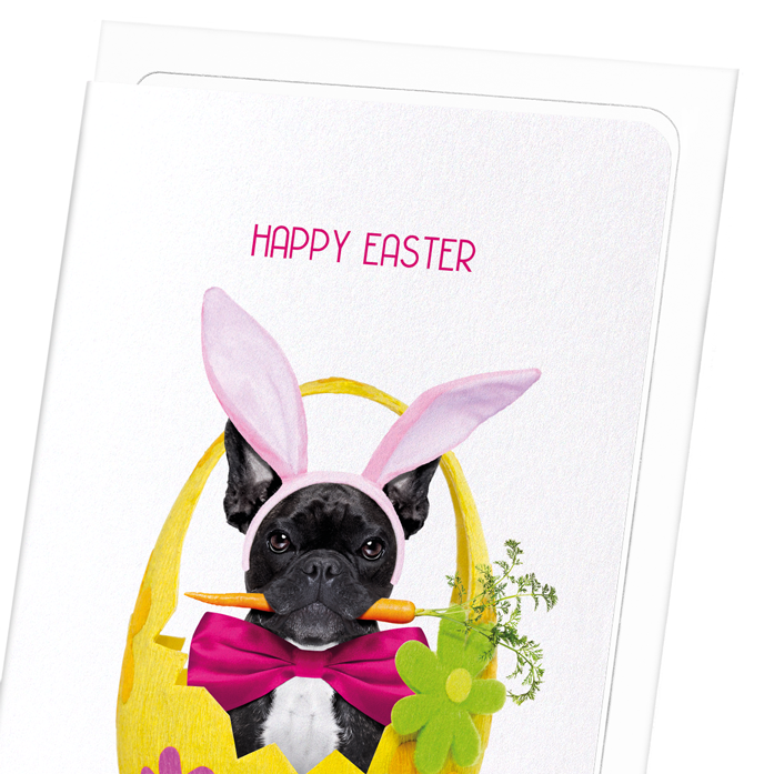 EASTER FRENCHIE BUNNY: Funny Animal Greeting Card