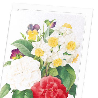 PANSIES, NARCISSUS & CAMELLIA: Botanical Greeting Card