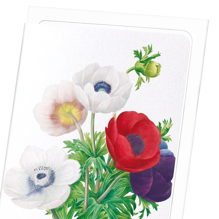ANEMONE: Botanical Greeting Card