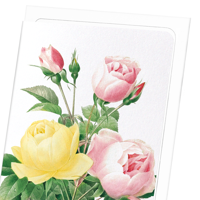 YELLOW AND PINK ROSE: Botanical Greeting Card