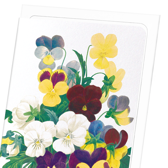 BUNCH OF PANSIES: Botanical Greeting Card