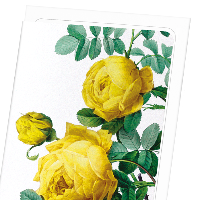 YELLOW ROSES: Botanical Greeting Card