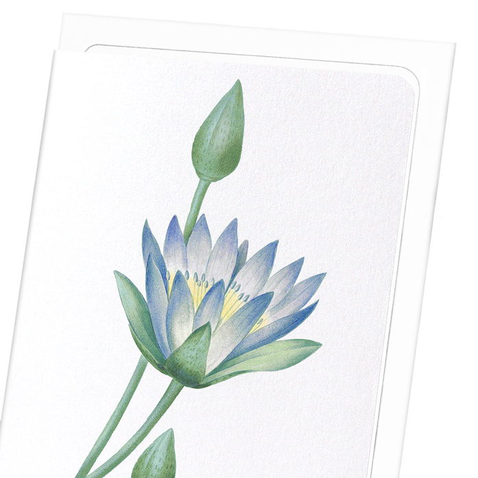 BLUE LOTUS: Botanical Greeting Card