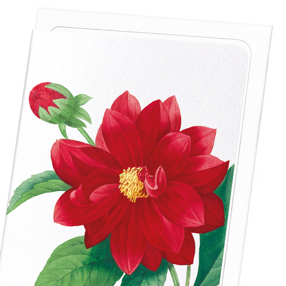 DAHLIA DOUBLE: Botanical Greeting Card