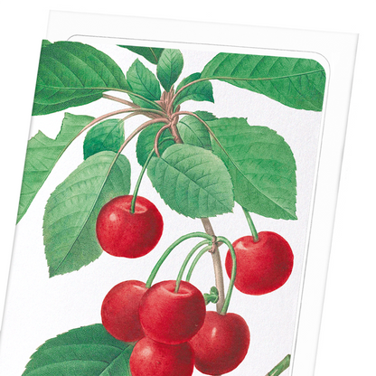 CHERRY: Botanical Greeting Card