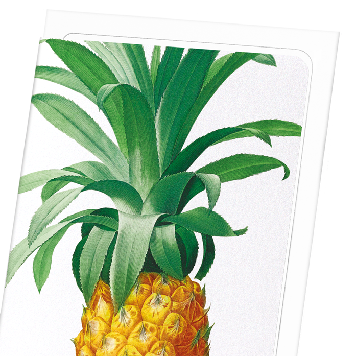 PINEAPPLE: Botanical Greeting Card