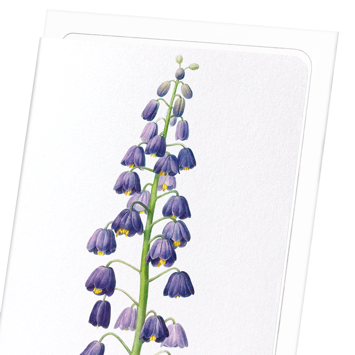 ADIYAMAN: Botanical Greeting Card