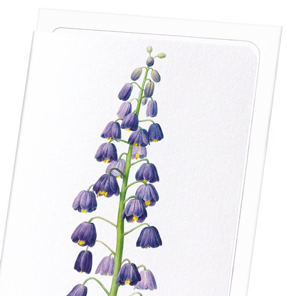 ADIYAMAN: Botanical Greeting Card