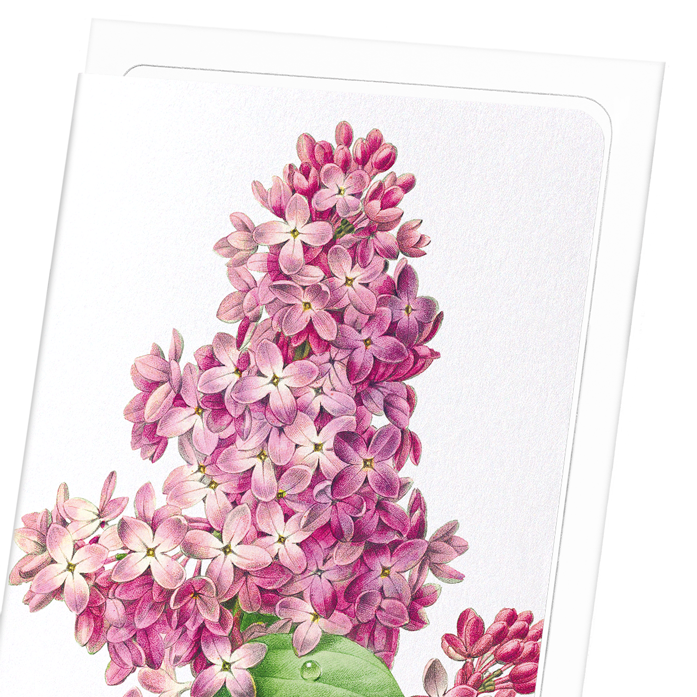 LILAC: Botanical Greeting Card