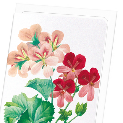 GERANIUM: Botanical Greeting Card