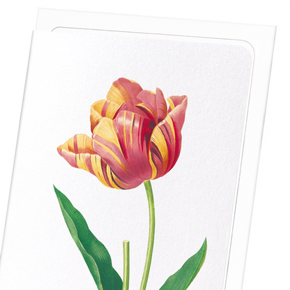 TULIP: Botanical Greeting Card