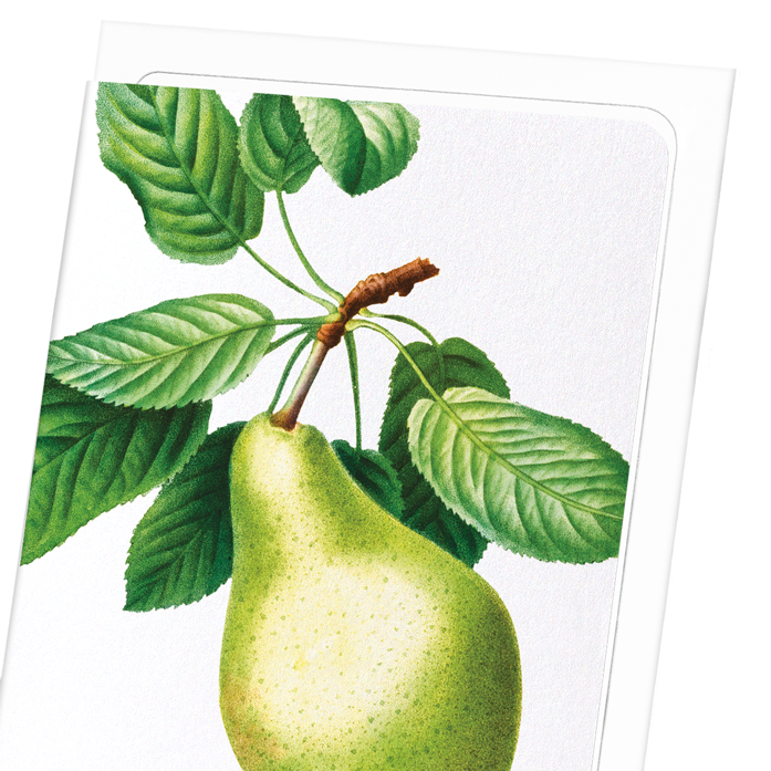 PEAR NO.1: Botanical Greeting Card