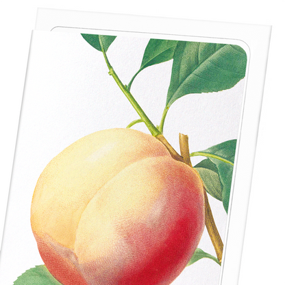PEACH NO.1: Botanical Greeting Card