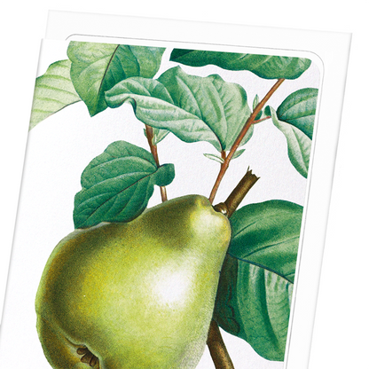 PEAR NO.2: Botanical Greeting Card