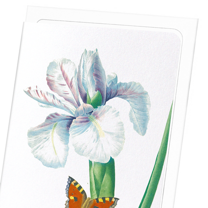 SPANISH IRIS NO.2: Botanical Greeting Card