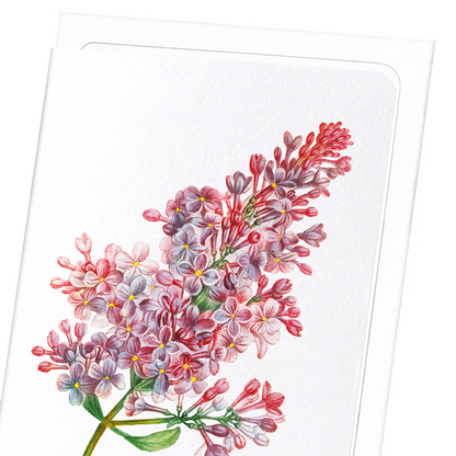 LILAC NO.4: Botanical Greeting Card