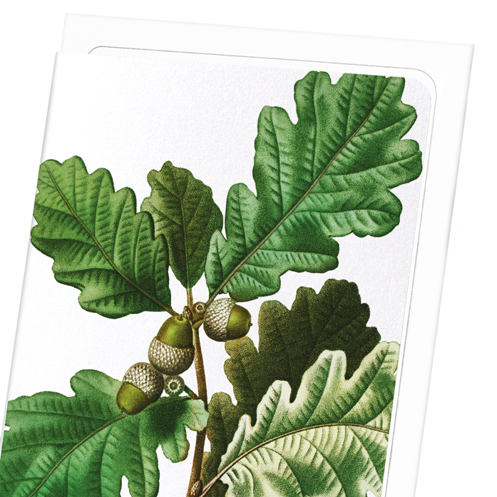COMMON OAK: Botanical Greeting Card