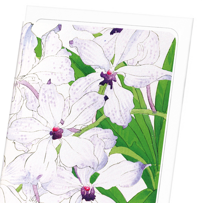 ORCHID: Botanical Greeting Card