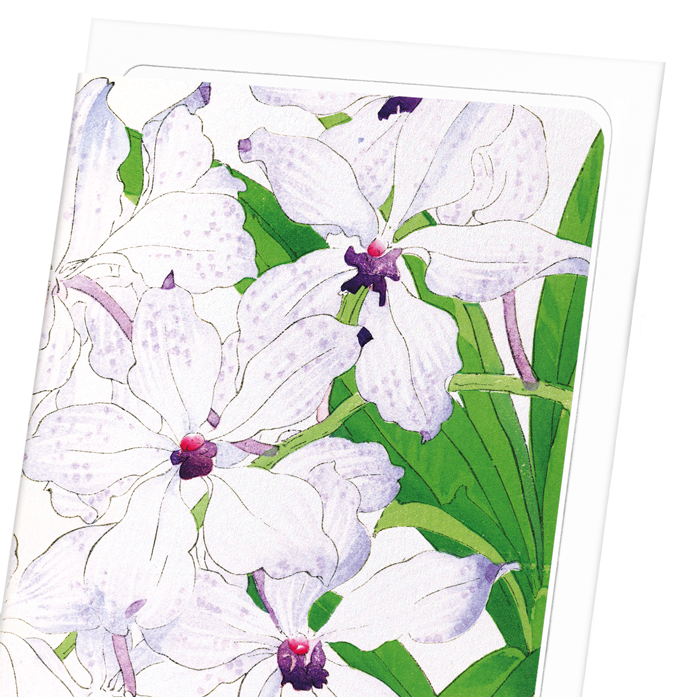 ORCHID: Botanical Greeting Card