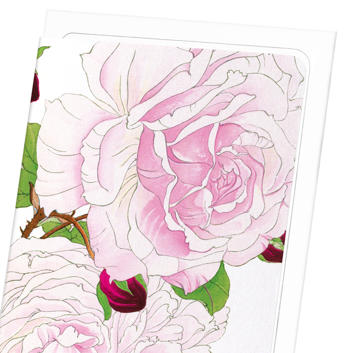 PINK ROSE: Botanical Greeting Card