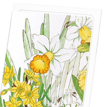 DAFFODIL: Botanical Greeting Card