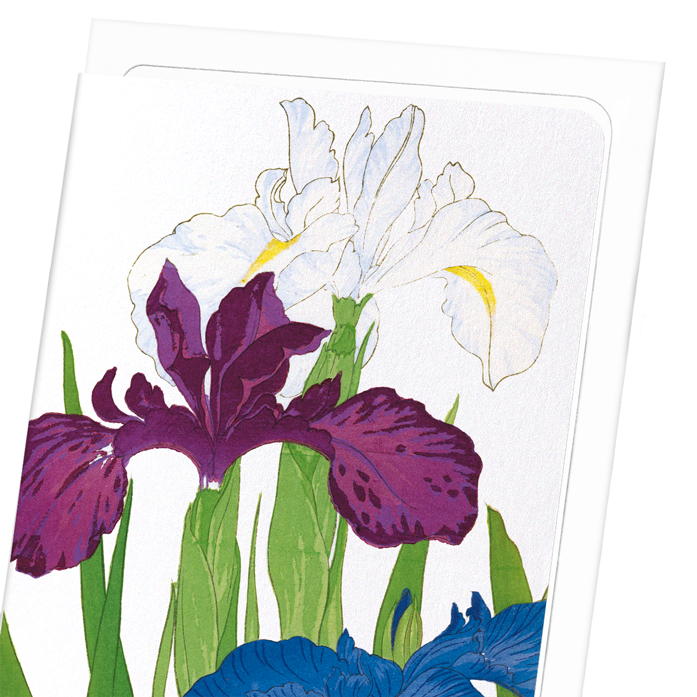IRIS: Botanical Greeting Card