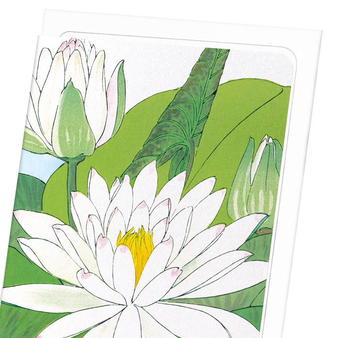WATER LILY: Botanical Greeting Card