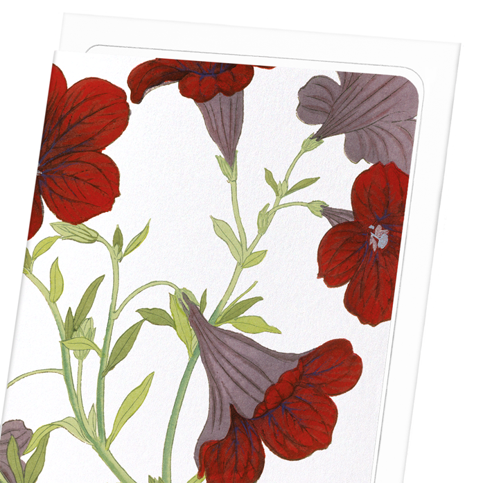 PETUNIA FLOWER: Botanical Greeting Card