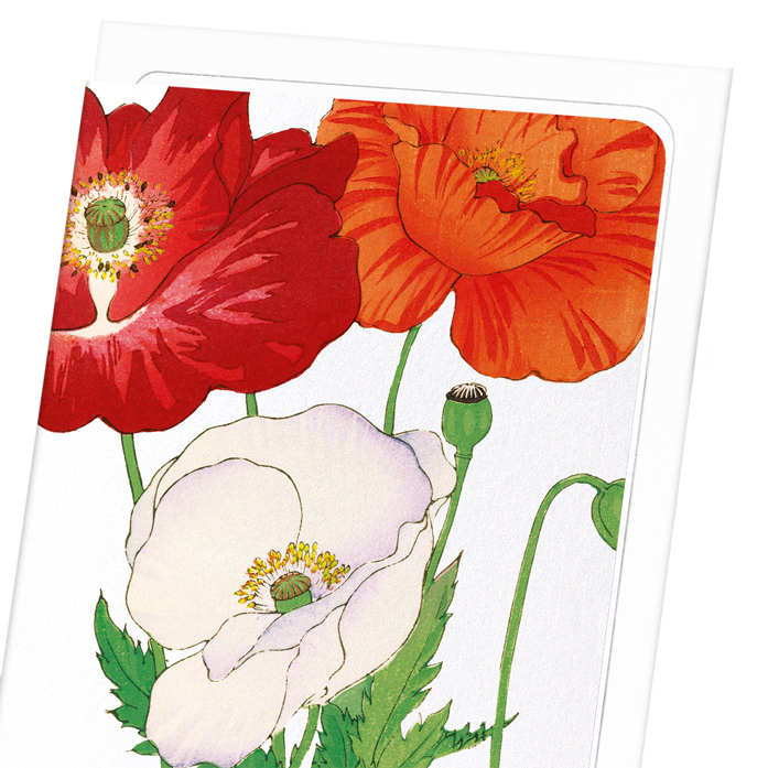 THREE POPPIES: Botanical Greeting Card