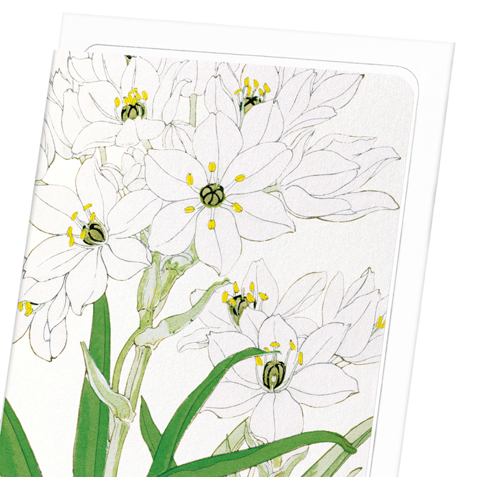 SCILLA FLOWER: Botanical Greeting Card
