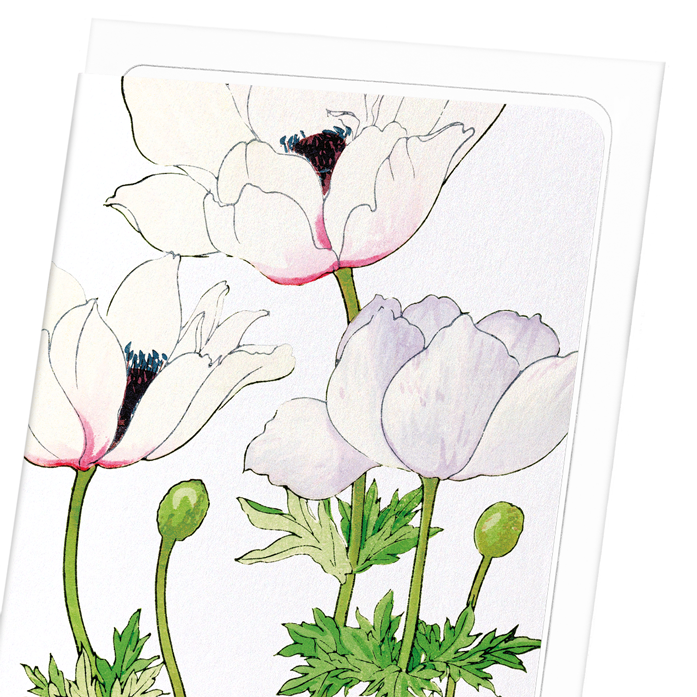 ANEMONE: Botanical Greeting Card