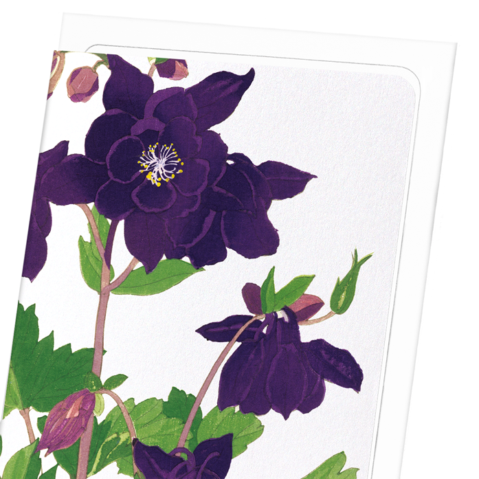 AQUILEGIA: Botanical Greeting Card