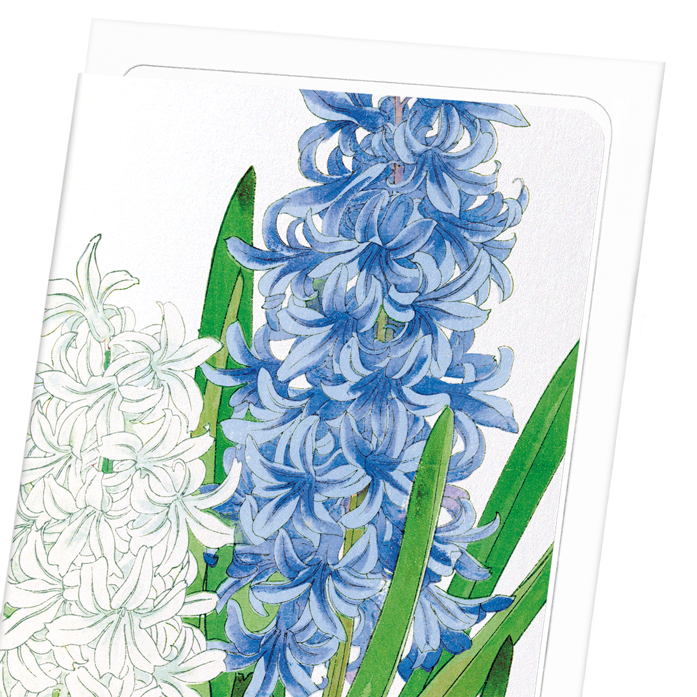 HYACINTH: Botanical Greeting Card