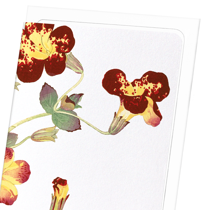 FLOWER STUDY: Botanical Greeting Card