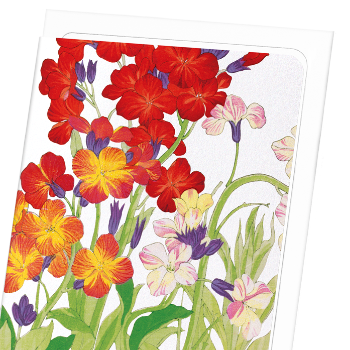 WALLFLOWER: Botanical Greeting Card