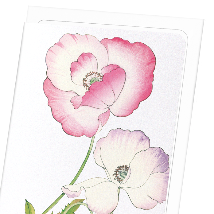 PINK AND PURPLE POPPY: Botanical Greeting Card