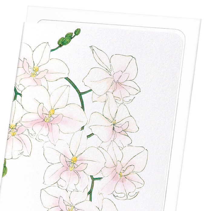 ORCHID: Botanical Greeting Card