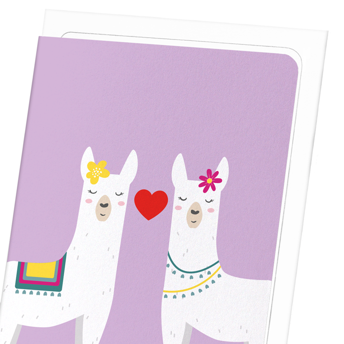 MRS & MRS LLAMOUR: Colourblock Greeting Card